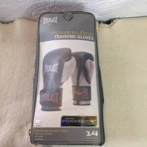 VTG Everlast 14 oz. Training Gloves, USED/Still have lots of useage.  Pro Style
